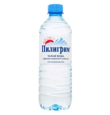 Пилигрим 0,5л*12шт б/г