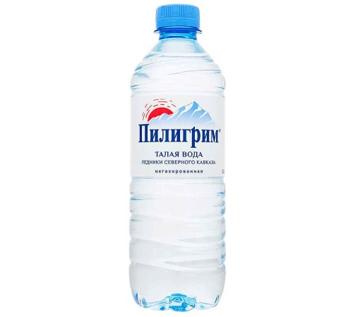 Пилигрим 0,5л*12шт б/г