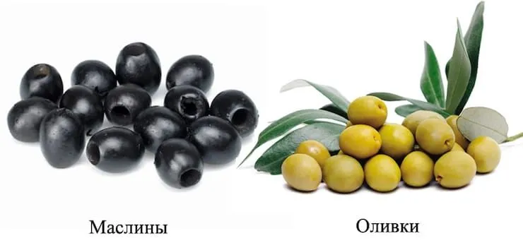 Маслины и оливки