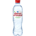 Святой Источник вода 0,5л*12 Газ